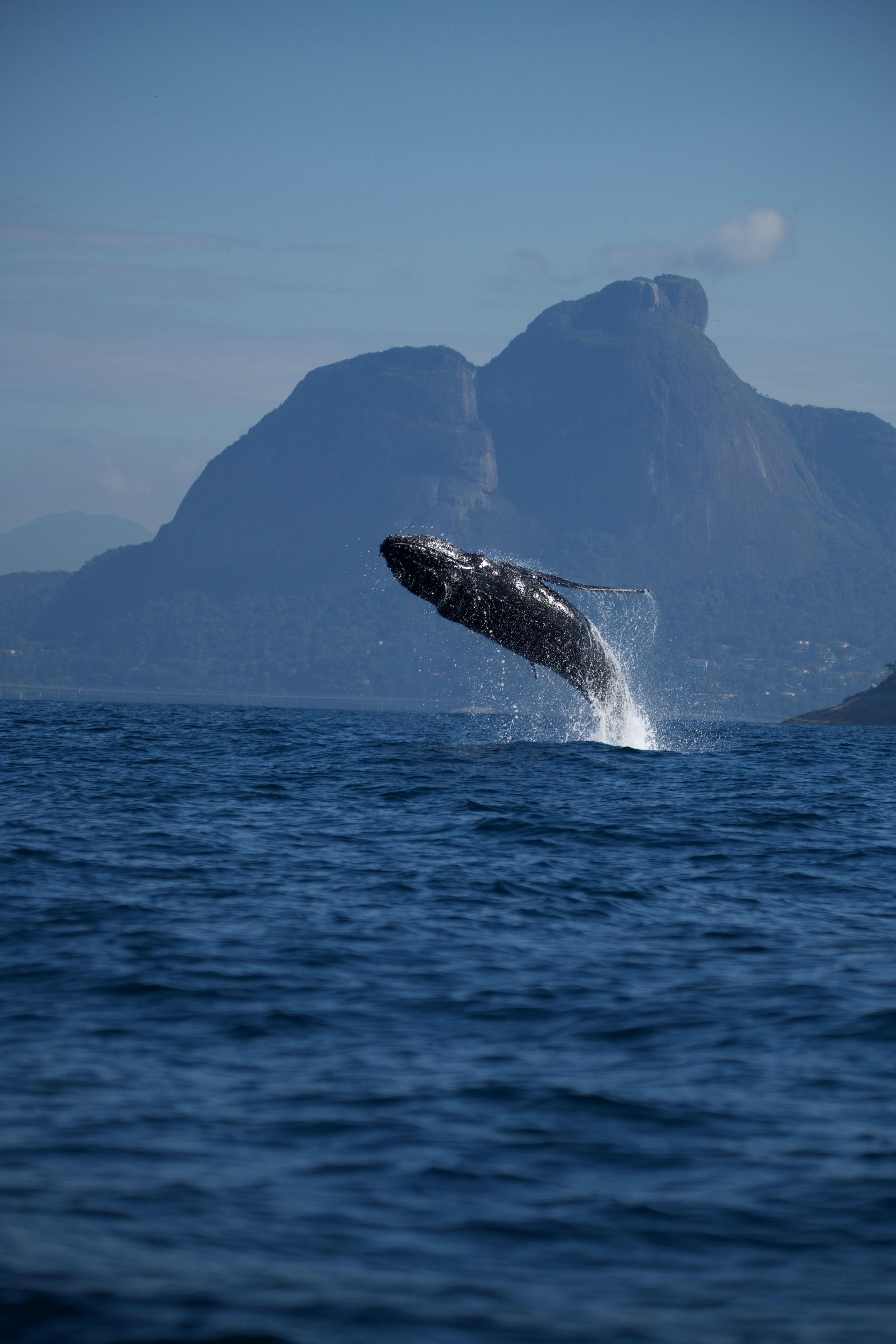 foto Not&iacute;cia Duque de Caxias